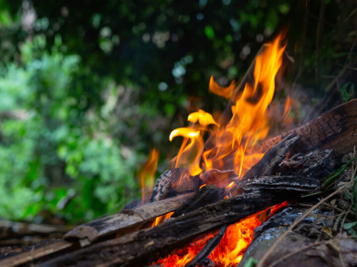 Pożary lasów i wzrost zagrożenia pożarowego w regionie