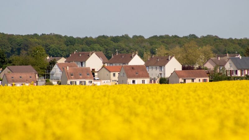 Podsumowanie sezonu żniw w regionie warmińsko-mazurskim