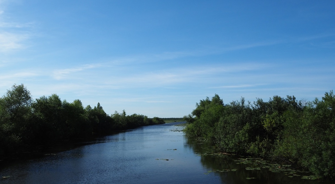 Planowane prace czerpalne na rzece Elbląg