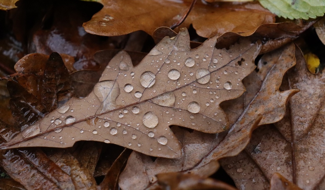 Ostrzeżenie meteorologiczne dotyczące intensywnych opadów deszczu w województwie warmińsko-mazurskim