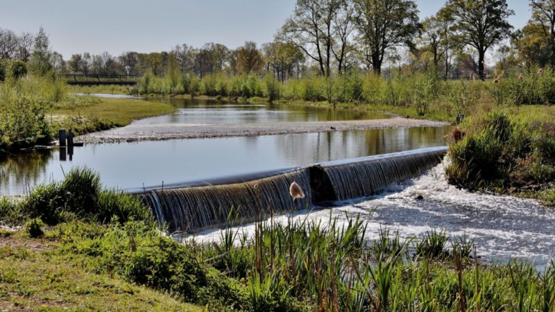Elbląg: Przemiana naturalnej przestrzeni w zbiorniki retencyjne