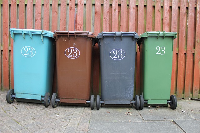 Zadbajmy o czystość Elbląga -jak działa wynajem kontenerów na odpady?