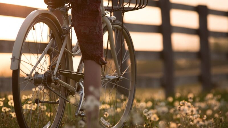 Odrodzenie rowerowych wycieczek z leśnikiem po elbląskiej Bażantarni
