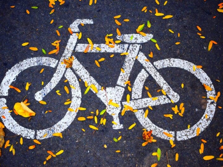 Zaplanowane Miejskie Wycieczki Rowerowe 23 lutego – atrakcje i zasady uczestnictwa