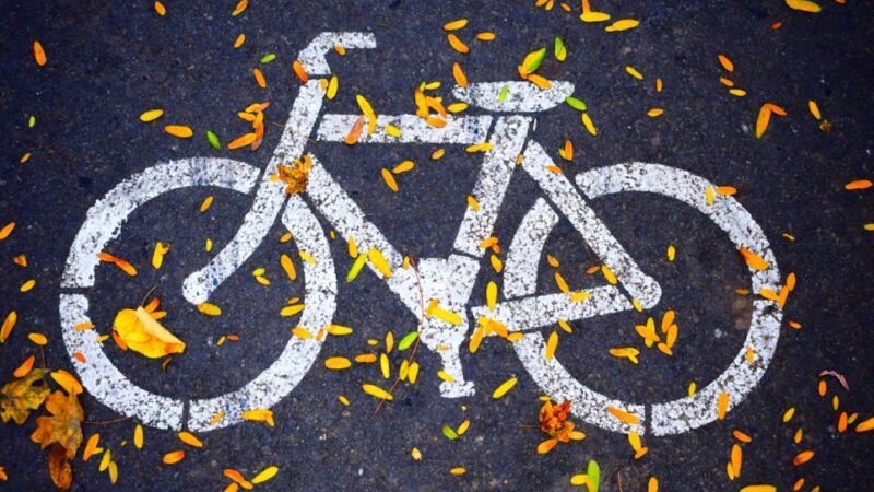 Zaplanowane Miejskie Wycieczki Rowerowe 23 lutego – atrakcje i zasady uczestnictwa