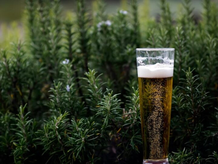 Walka Straży Miejskiej w Elblągu z wieloaspektowym problemem publicznego spożywania alkoholu