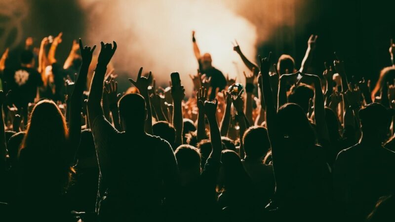 Ogrody POLITYKI wracają do Elbląga: Kultura, muzyka i intelektualne dyskusje w sercu miasta!