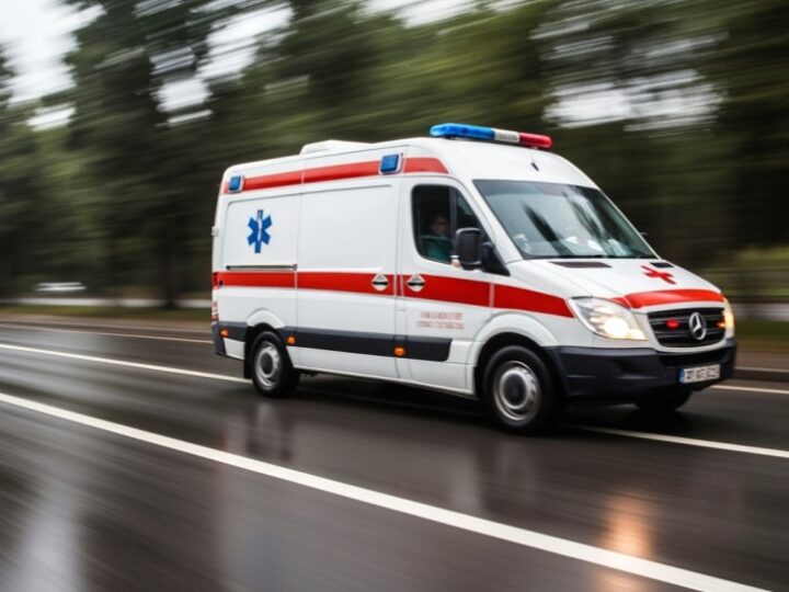 Borsuk w Elblągu: Straż Miejska ratuje dzikiego mieszkańca osiedla Marynarzy!