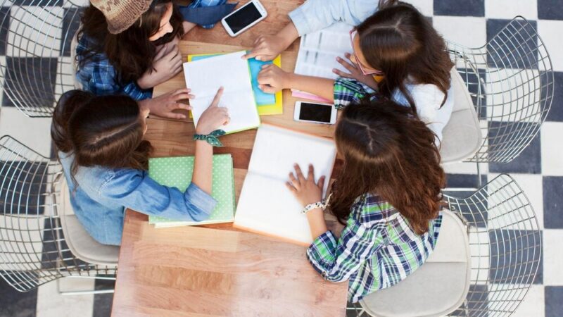 Darmowe studia w Elblągu – ostatnia szansa na nową karierę!