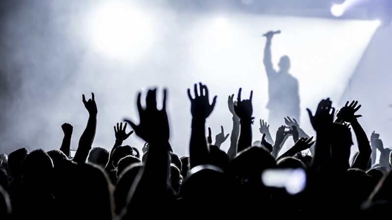 Elbląg znów w centrum kultury: Festiwal Ogrody POLITYKI startuje!