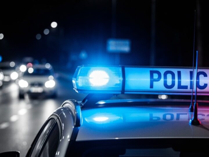 Narkotyki u pasażera ujawnione podczas rutynowej kontroli
