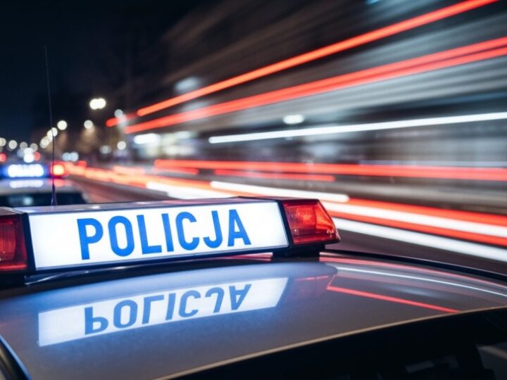 Policja rozbiła gang narkotykowy: ponad 50 kg nielegalnych substancji w rękach funkcjonariuszy