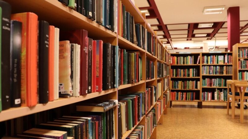 Mikołajkowe Szaleństwo w Elbląskiej Bibliotece