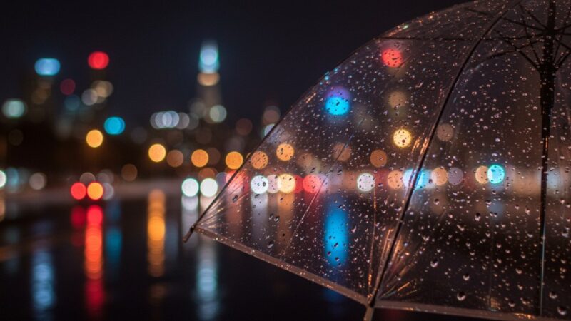 Gęsta mgła nad warmińsko-mazurskim – ostrzeżenie meteorologiczne Nr 106