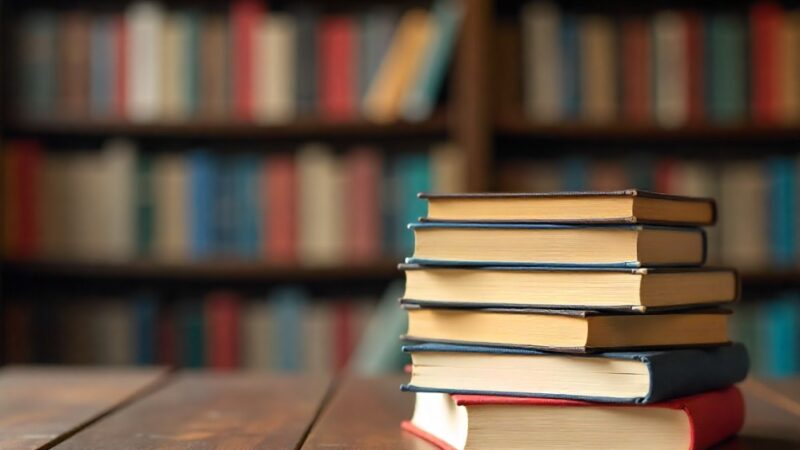 Literacka Magia: Martyna Pestrakiewicz Otwiera Nowy Rozdział w Elblągu