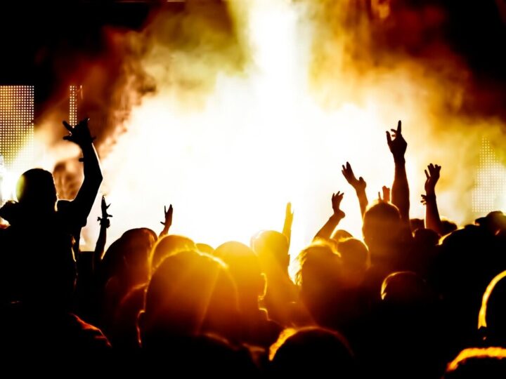 Świąteczny hit w Kinie Światowid: „Kevin sam w domu” za jedyne 5 zł!