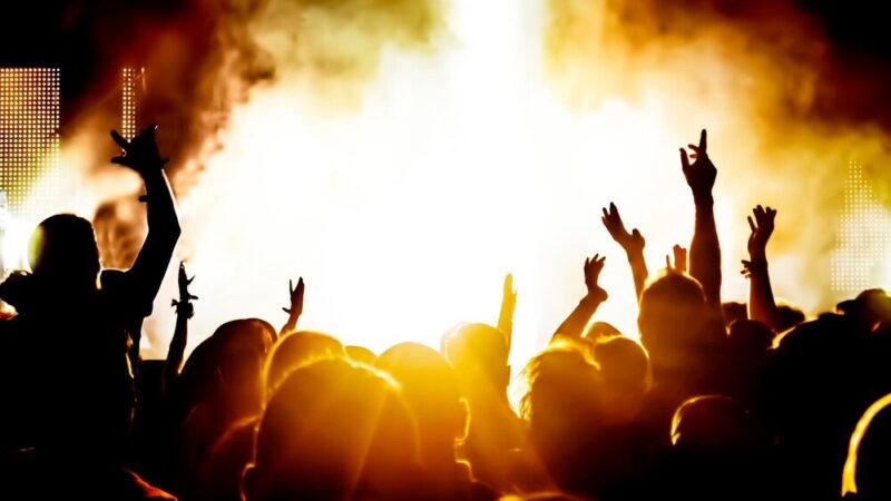 Świąteczny hit w Kinie Światowid: „Kevin sam w domu” za jedyne 5 zł!