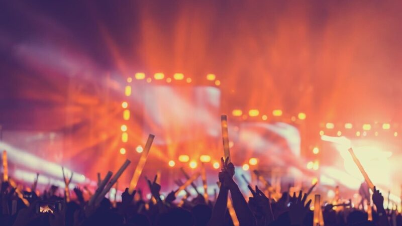 Muzyka Natury: Konkurs Dźwięków, Który Zachwyca