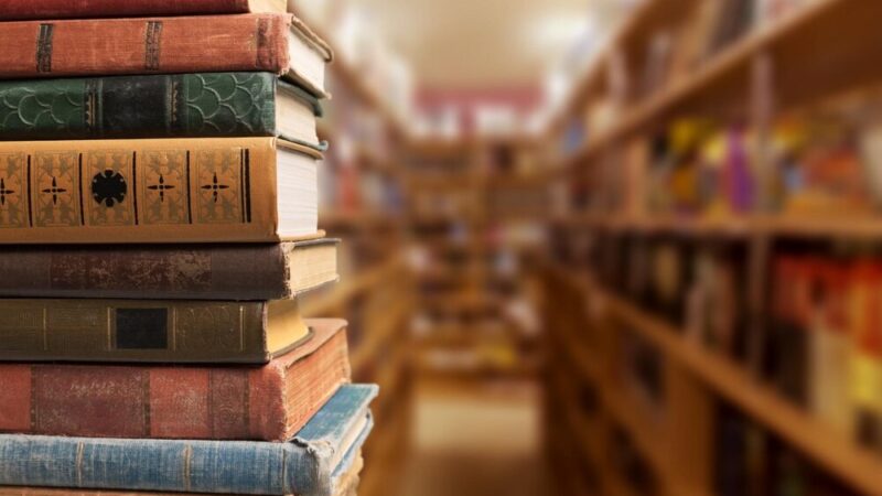 Agnieszka Pietrzyk króluje w Elblągu! Rekordowe wypożyczenia w bibliotece