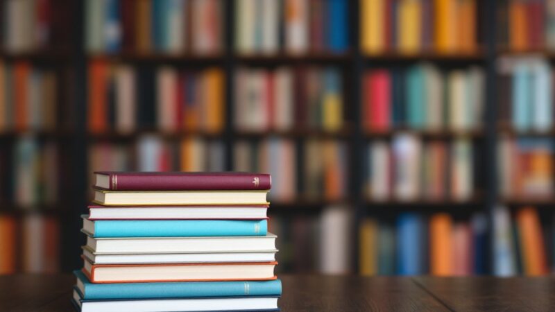 Nowoczesna filia nr 6 Biblioteki Elbląskiej – nowa przestrzeń dla czytelników po remoncie