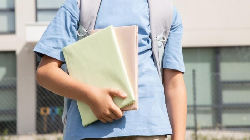 Zielona przyszłość przedszkoli: kompleksowa modernizacja dla dzieci i ekologii