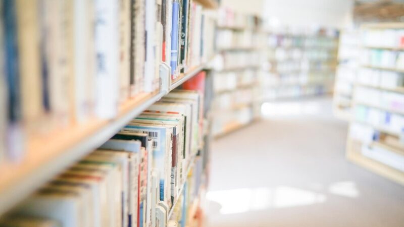 Głośne Czytanie w Komorowie: Uczestnicy ŚDS z Przezmarku w Bibliotece Publicznej