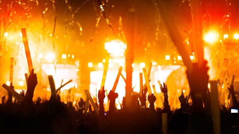 Młode Gwiazdy Elbląga – Koncert Wokalny w Kamieniczkach!