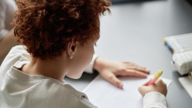 Edukacyjna Przygoda w Elblągu: Festiwal EduElbląg 2026