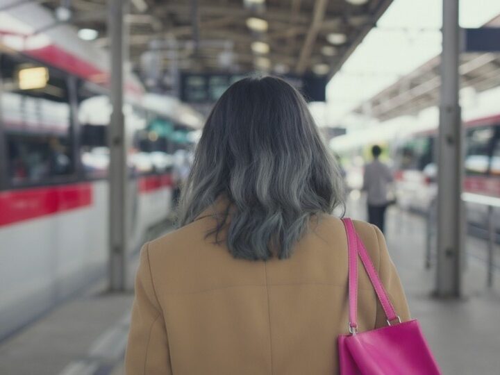 Żuławy w Nowej Odsłonie: Program dla Lepszej Przyszłości Regionu