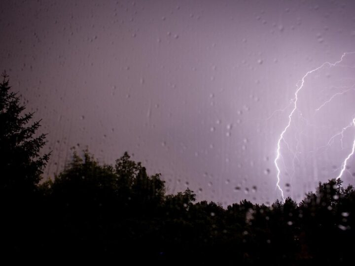 Przymrozki nadchodzą! Przygotuj się na zimne noce w Elblągu