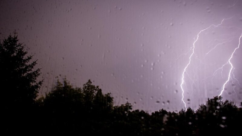 Przymrozki nadchodzą! Przygotuj się na zimne noce w Elblągu