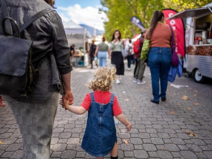 Nowa inicjatywa dla seniorów w Elblągu!