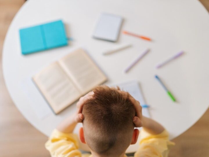 Lato pełne przygód: Półkolonie dla dzieci w CSE „Światowid” 2026