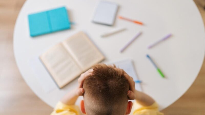 Lato pełne przygód: Półkolonie dla dzieci w CSE „Światowid” 2026