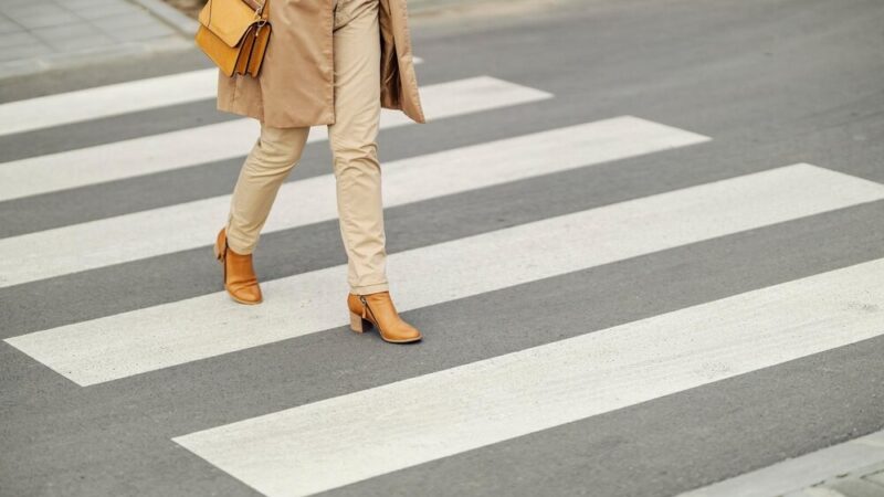 Jeże na nocnych wędrówkach – jak je chronić przed niebezpieczeństwem?
