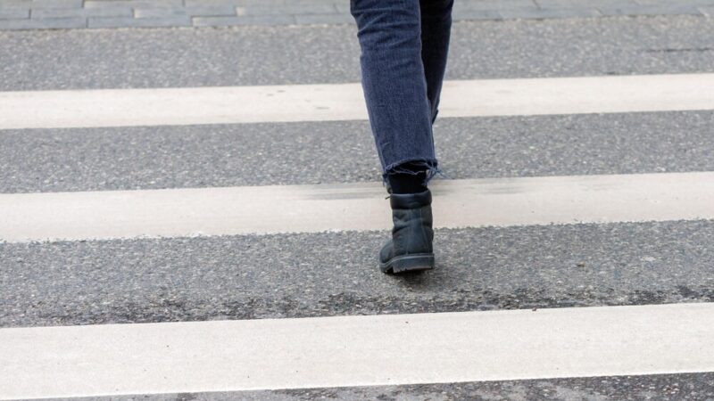 Błyskawiczna pomoc ratuje kotka po potrąceniu na Broniewskiego