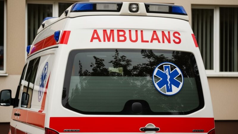 Zagrożenie w upale: Heroiczna akcja ratunkowa w Elblągu