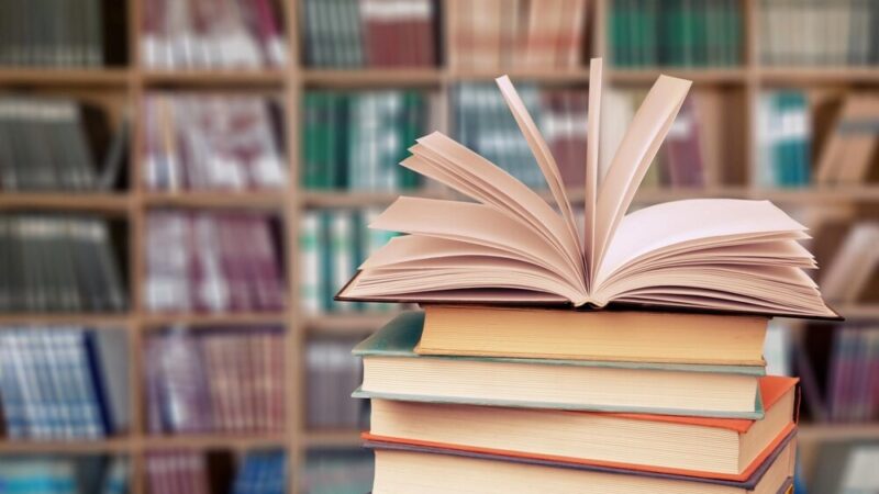 Kreatywne Czytanie: Dzieci Odkrywają Magię Literatury w Godkowie!