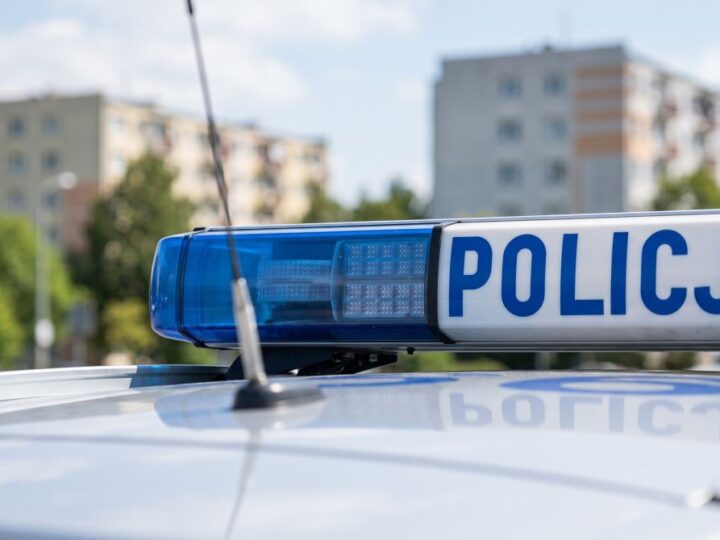 Przed Wszystkimi Świętymi leśnicy i policja ruszyli na wspólne patrole. Pilnują stroiszu